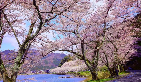 Photo Gallery Image| Grand Mercure Lake Biwa Resort & Spa