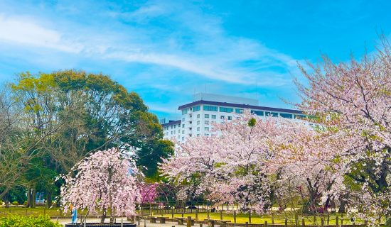 Photo Gallery Image| Grand Mercure Lake Biwa Resort & Spa
