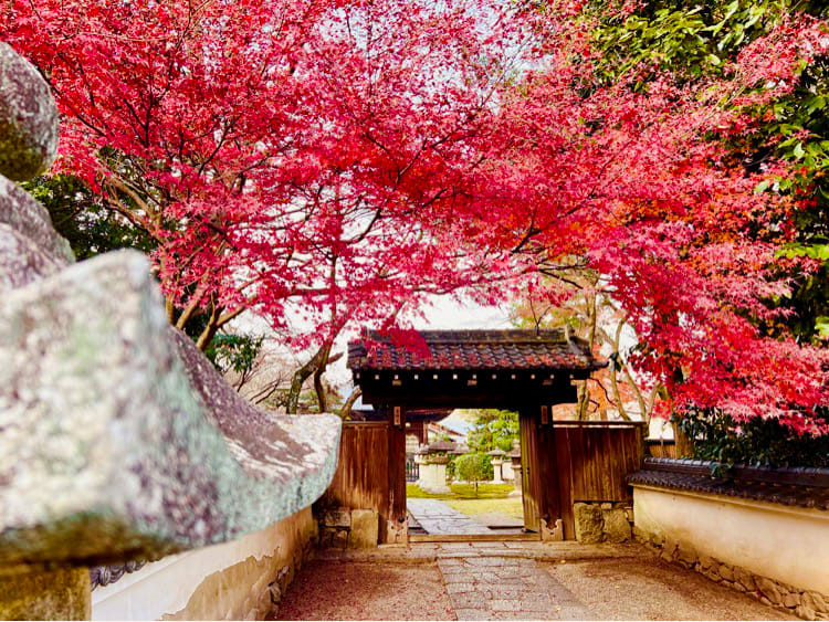Veltra Rankings | Grand Mercure Lake Biwa Resort & Spa