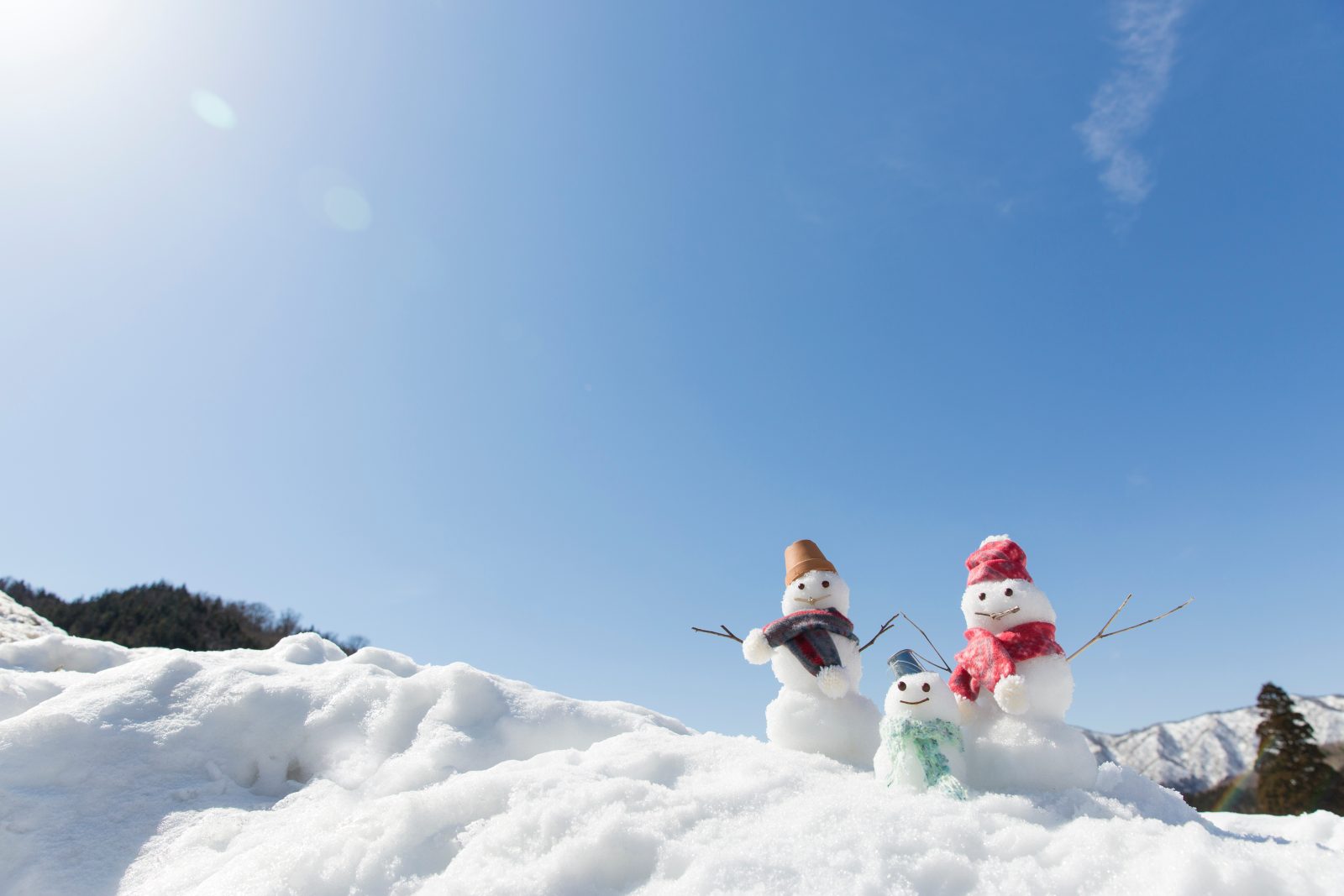Winter vacation and year-end and New Year holidays! [Official Website Limited Plan] Free plan for elementary school students and younger