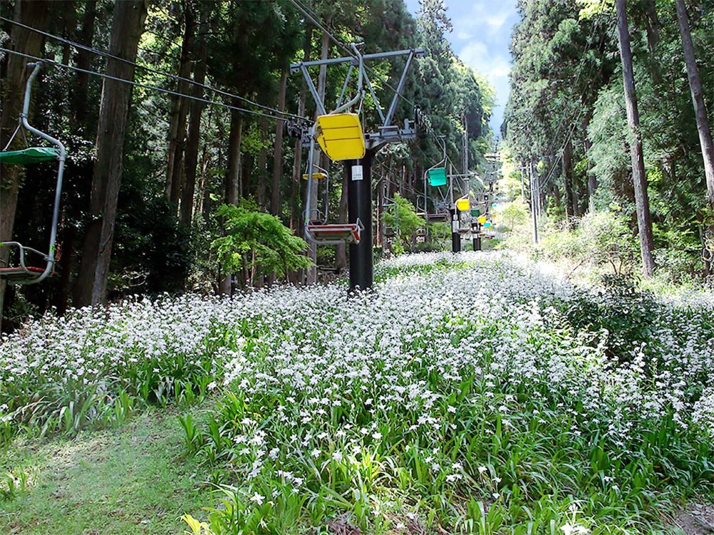 Taiga drama "Hideyoshi Brothers" Grand Mercure Lake Biwa Resort & Spa