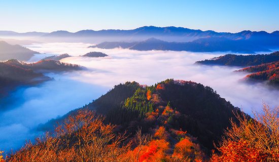 照片畫廊圖像|琵琶湖美爵溫泉度假酒店