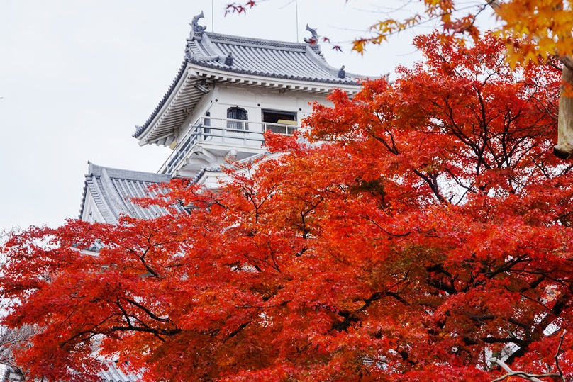 【秋季深度遊】推薦的紅葉景點