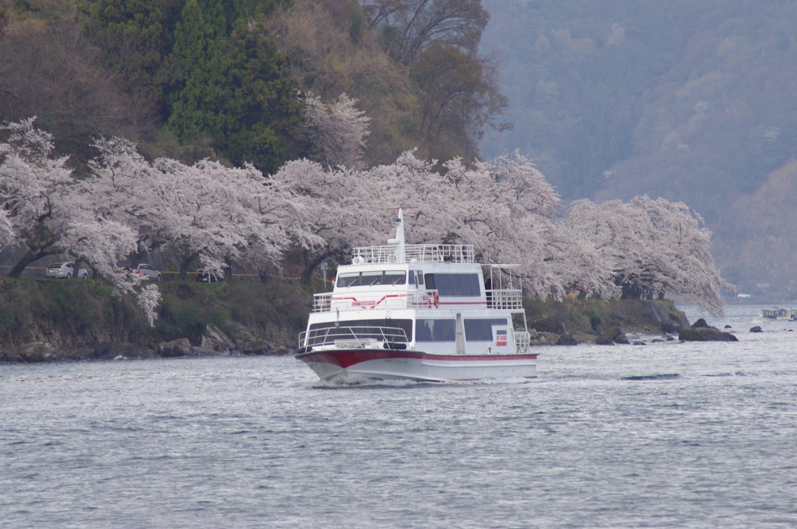 海津大崎桜クルーズ付きオールインクルーシブ